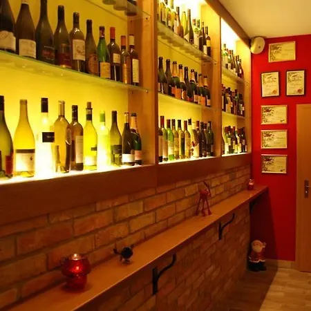 Guest house U Kocky 3*